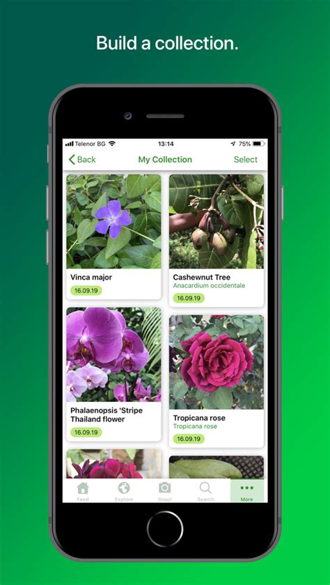 plantsnap gratis|free plant identification uk app.